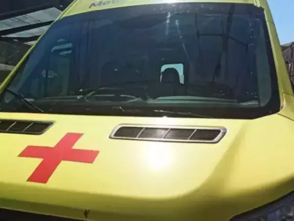 Фото к материалу: В Ростовской области погиб водитель легковушки, врезавшись в дерево
