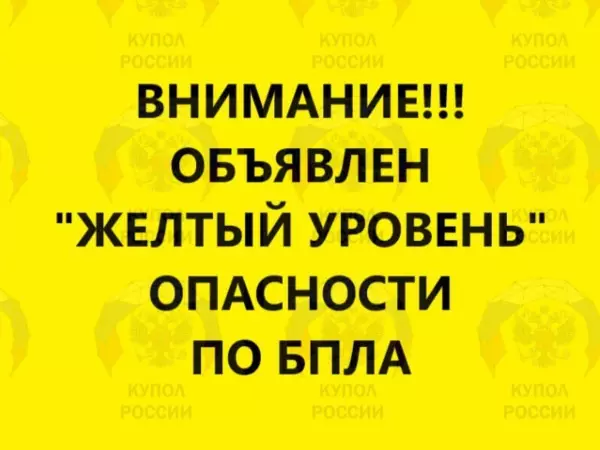 Фото к материалу: В Ростовской области объявили желтый уровень опасности по БПЛА