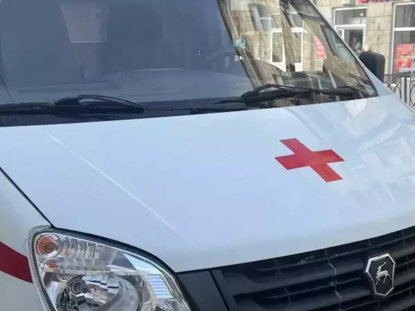 Фото к материалу: В Ростовской области в аварии с большегрузом погиб мужчина