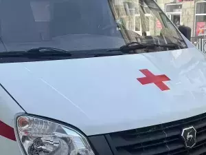 В Ростове пенсионерка попала в аварию, врезавшись в столб