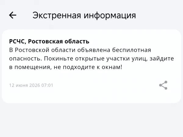 Фото к материалу: В Ростовской области объявили беспилотную опасность в праздник 12 июня